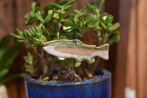 Plant Buddy : Fish