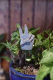 Plant Buddy : Peace Hands