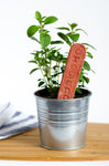 Garden Markers - VEGGIE VARIETIES