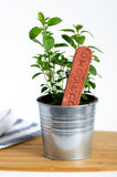 Garden Markers - VEGGIE VARIETIES