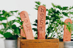 Garden Markers - VEGGIE VARIETIES