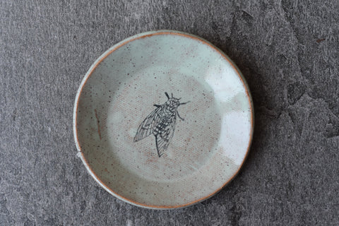 Mini Plate - Cicada