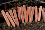Garden Markers - VEGGIE VARIETIES