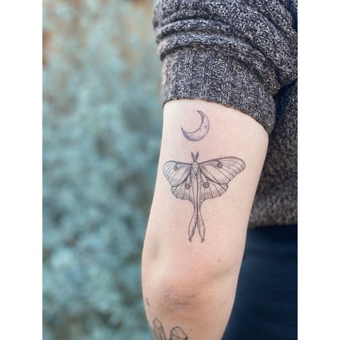 Hand Illustrated Temporary Tattoos - Luna Moth